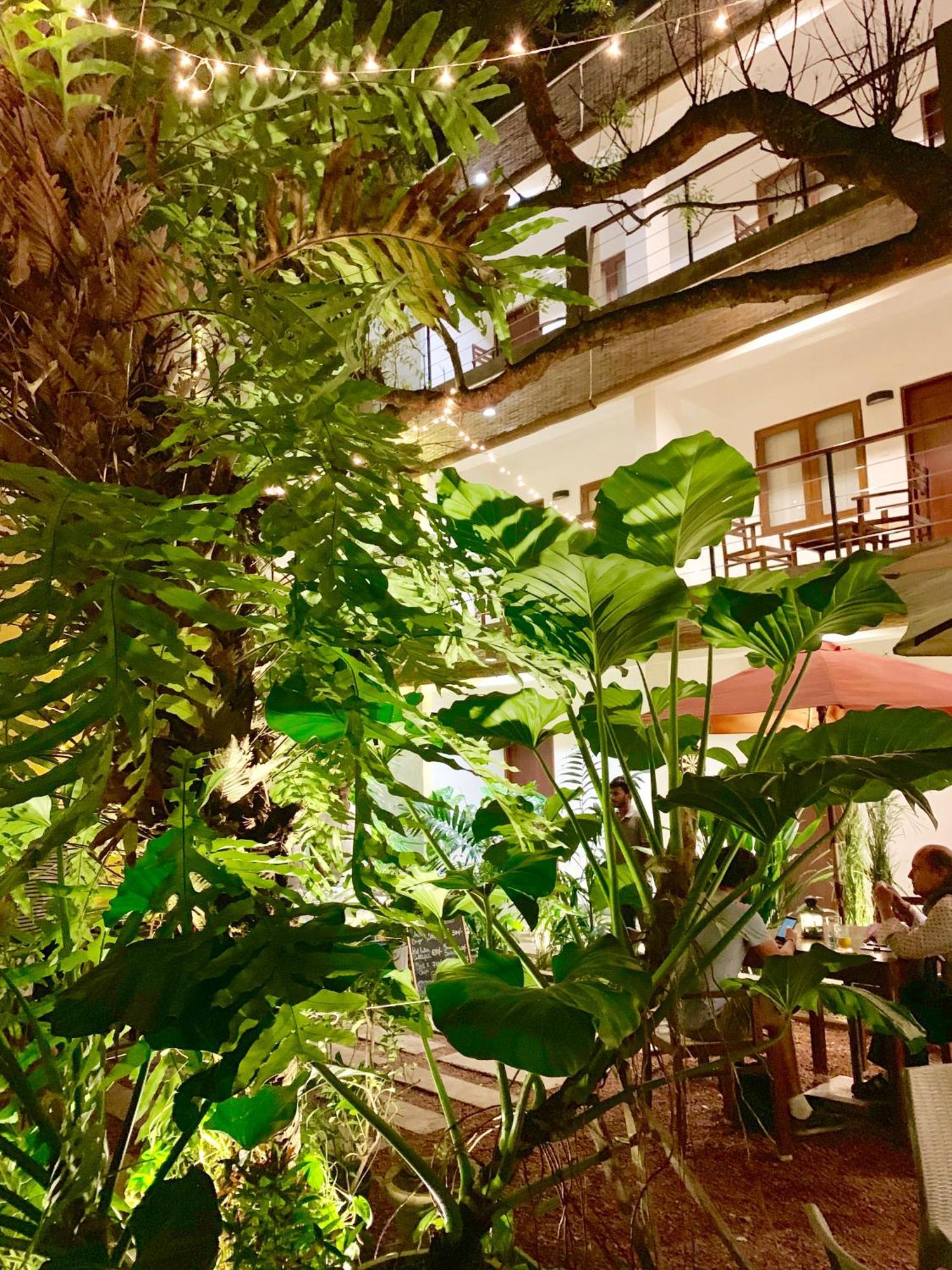 可倫坡 萨语拉旅馆酒店 外观 照片